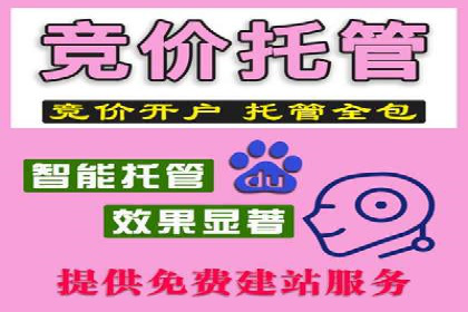 案例解析：SEM效果提升技巧
